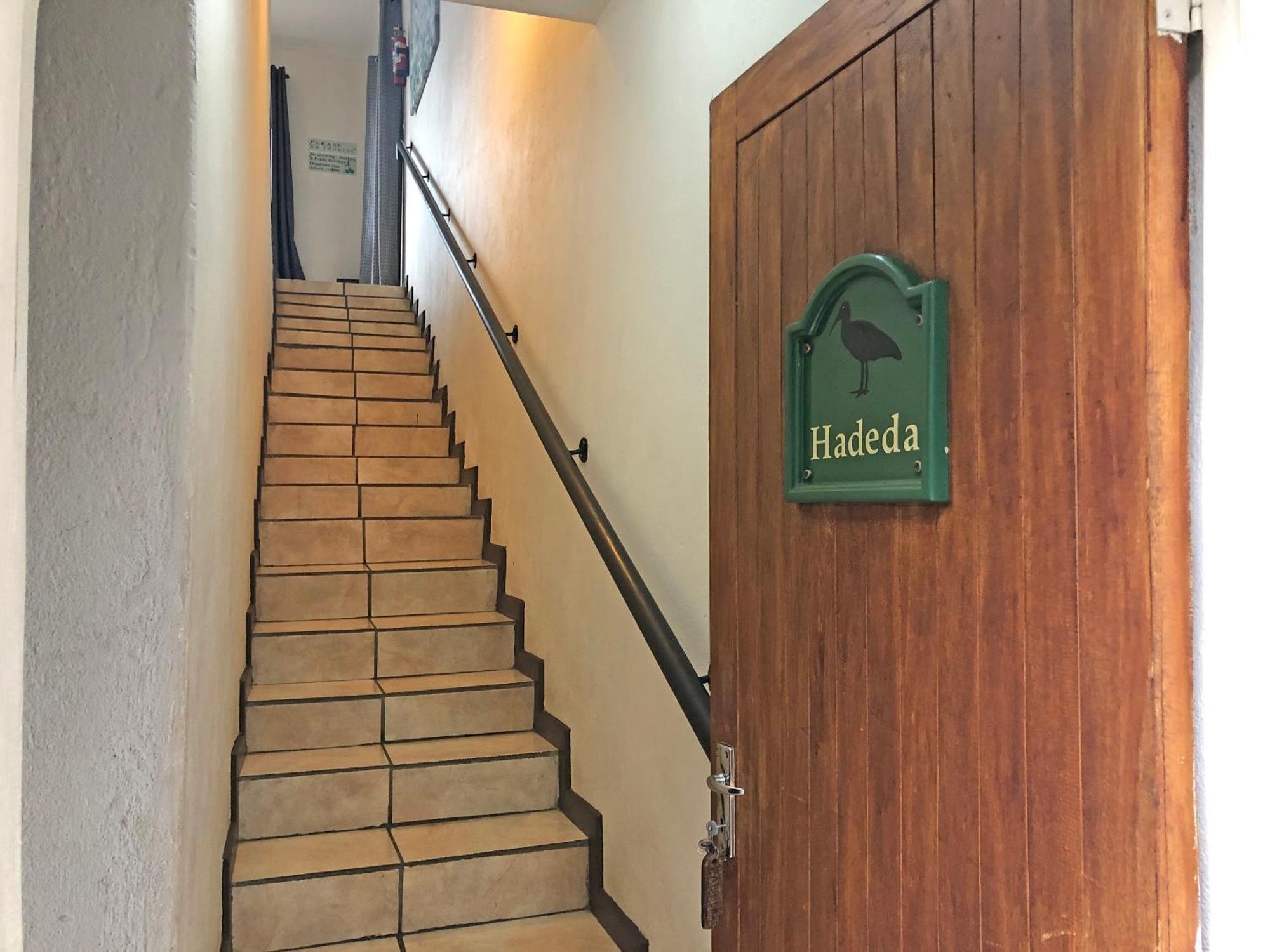 Hills And Dales Accommodation 란세리아 외부 사진