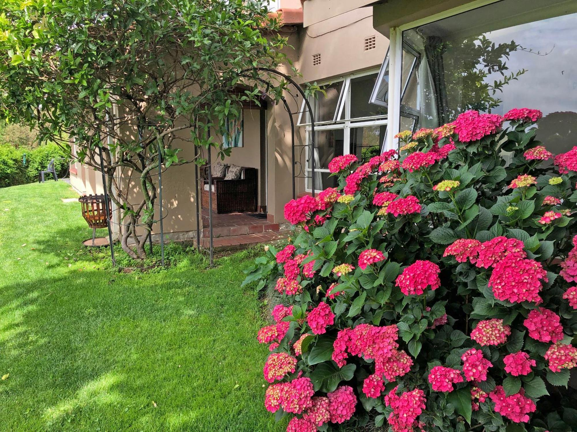 Hills And Dales Accommodation 란세리아 외부 사진